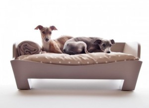 How To Choose The Right Bed For Your Dog