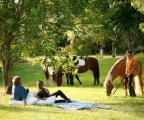 How To Find The Best Places To Get Sporting Goods