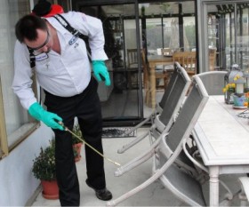 What You Need to Know About Pest Control