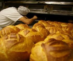 A Good Recipe to Pick the Best Bakery
