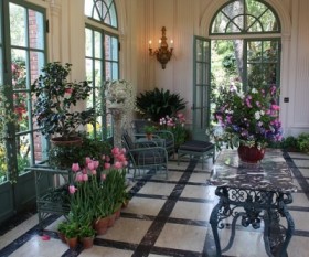 Home and Garden Tips: How to Choose and Care for Indoor Plants