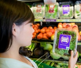 Why Choose Organic Produce