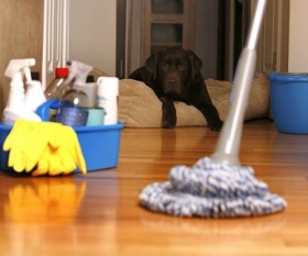 Start the Year Right with These Home Cleaning and Upgrade Projects