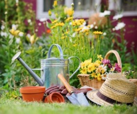 Important Things You Need to Know When Starting a Garden