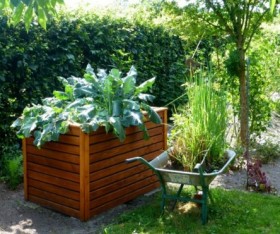 Lasagna Gardening: An Easy, Fuss-free Way to Plant Herbs and Veggies at Home