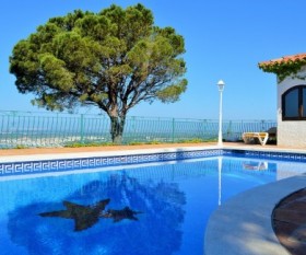 Gardening Trees In An Instant