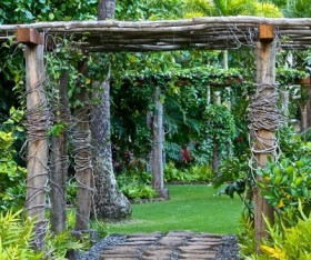 Guide in Planning your Backyard/Garden