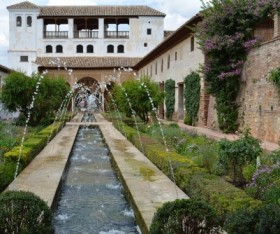 Make an Eye-catching Garden Pathway using These Plants