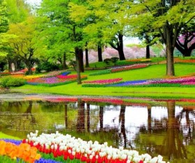 Let’s Make an Attractive Garden with These Plants