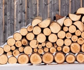 Why You Should Choose Timber?