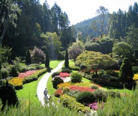 The Right Plant Scheme to Make Your Garden Look Spectacular