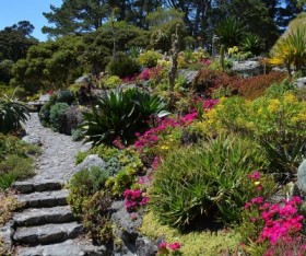 Garden Resource Guide