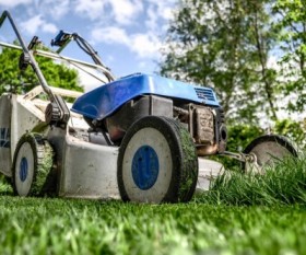 9 Garden Maintenance Tips That Work