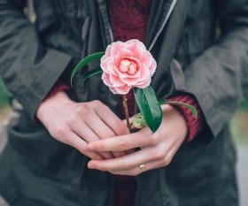 The Truth About Female Aesthetic Genital Surgery – Sydney Experts Answer Top Concerns