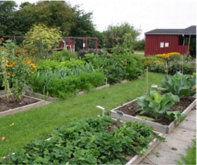 Questions About Crop Rotation Answered