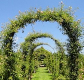 Do-It-Yourself Garden Arches