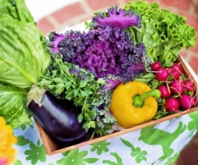 Foods That Can Help You Get a Flat Belly