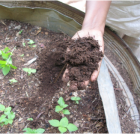 Composting: How It Works