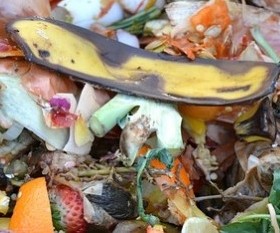 Quick Guide on Composting Materials