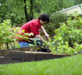 How to Start a Coastal Garden