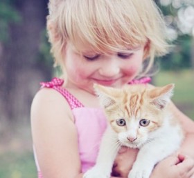 Taking Care of Pets: The Health Benefits of Doing So