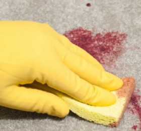 Carpet Cleaning: Tips on Removing Stains