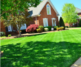 2 Ways to Make a Lawn in Your Garden