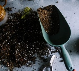 Soil 101 (Everything You Need to Know About It)