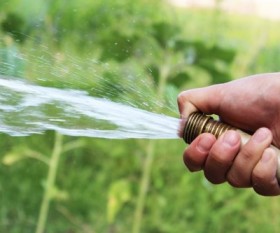 Watering Plants...Doing It Right