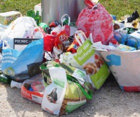 Minimising Household Waste: 10 Tips That Work