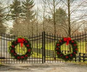 Maintenance Tips for Iron Fences and Gates