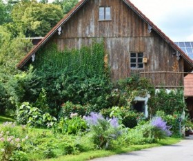 Top 4 Tips to Keep Your Home Pest-Free