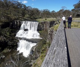 Dorrigo Travel Guide