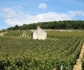 Daylesford and Macedon Travel Guide