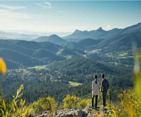 The Dandenong Ranges