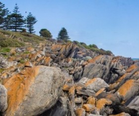 Kangaroo Island Travel Guide