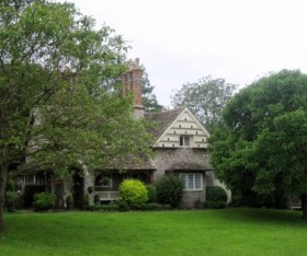 Tree Removals and Home Insurance