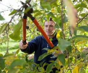 Tree Pruning Methods