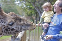 Safety Tips in the Zoo