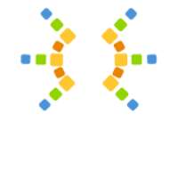 Essential Energy Solutions