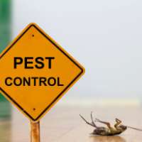 Pest control Keilor East