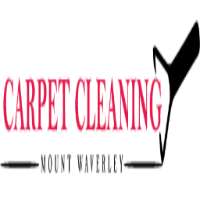 carpet cleaner