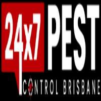 antcontrol brisbane