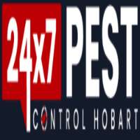 Ant Removal Hobart