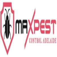 Bee Pest Control Adelaide