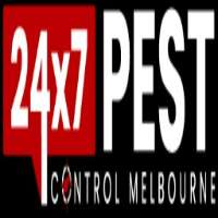 Possum Pest Control Melbourne